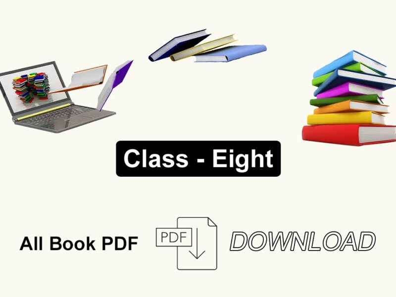 Class Eight All Book PDF