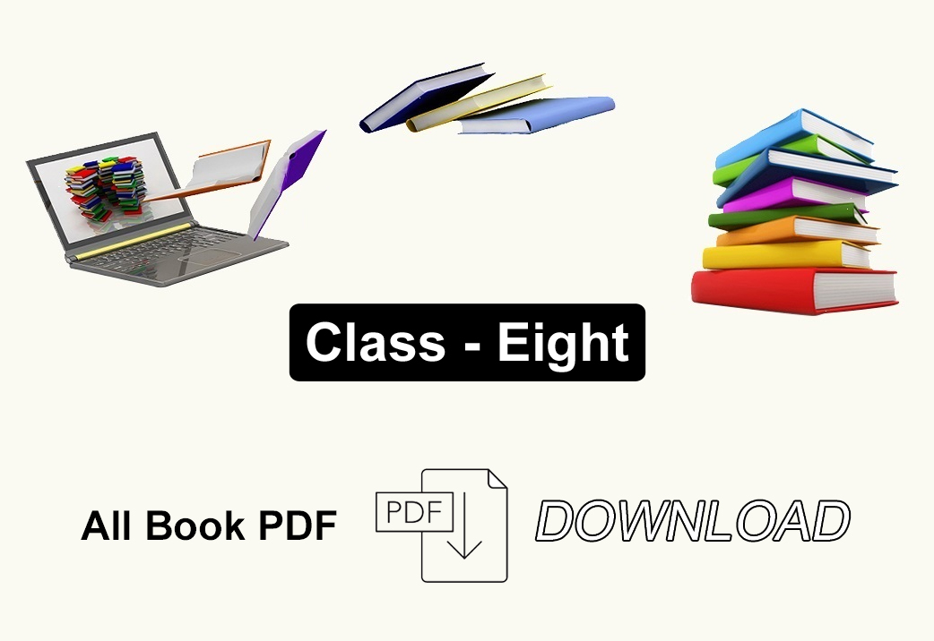 Class Eight All Book PDF