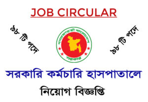 Job Circular 2024