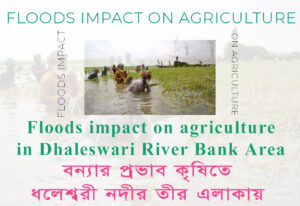 Floods impact on agriculture in Dhaleswari River Bank Area