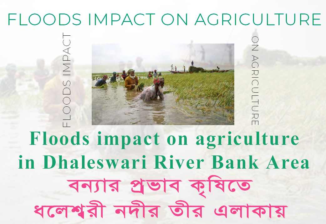 Floods impact on agriculture in Dhaleswari River Bank Area