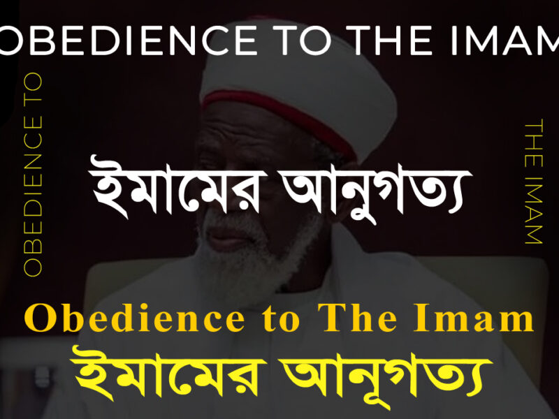 Obedience to the Imam