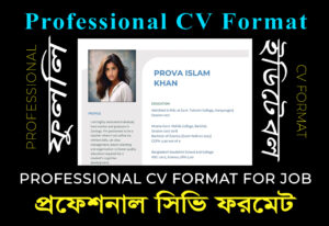 Professional CV Format