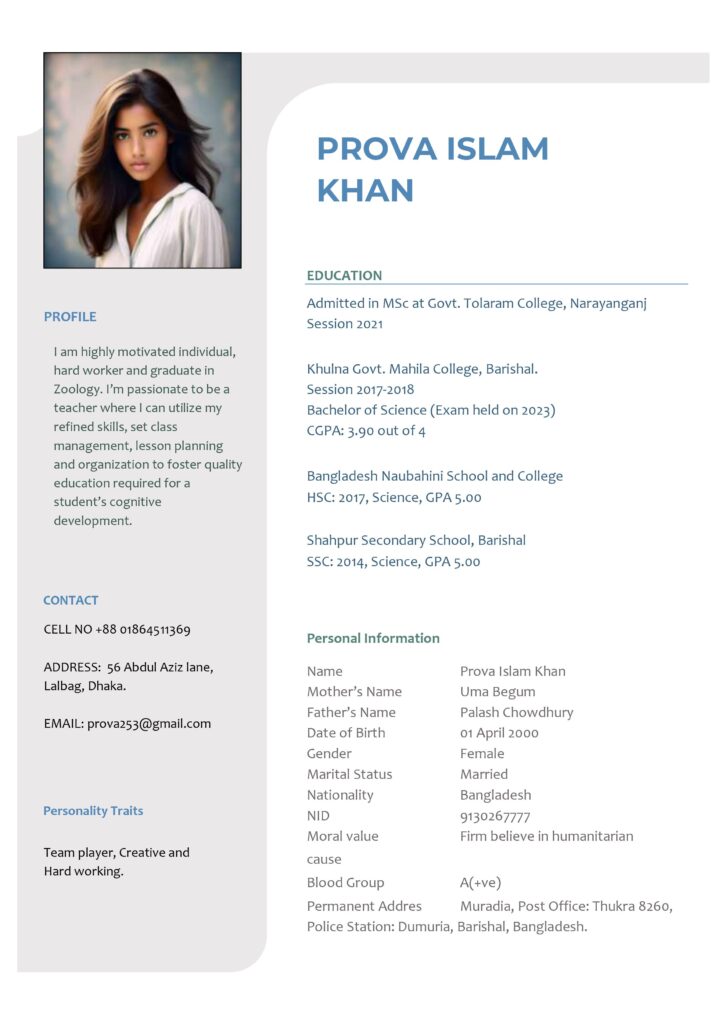 professional cv format for job