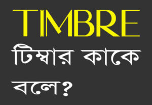 An Article on Timbre , টিম্বার কাকে বলে