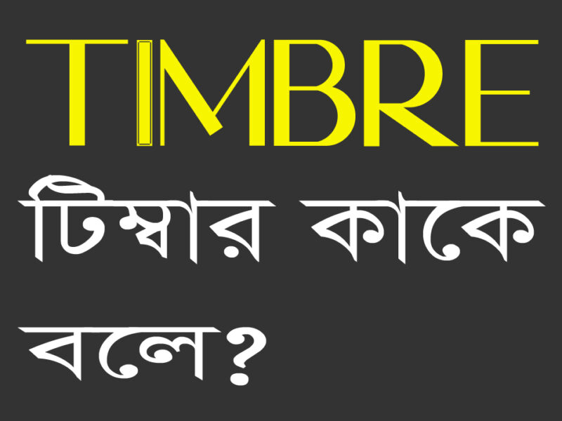 An Article on Timbre , টিম্বার কাকে বলে