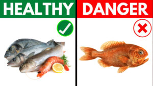 healthiest fish to eat in the world