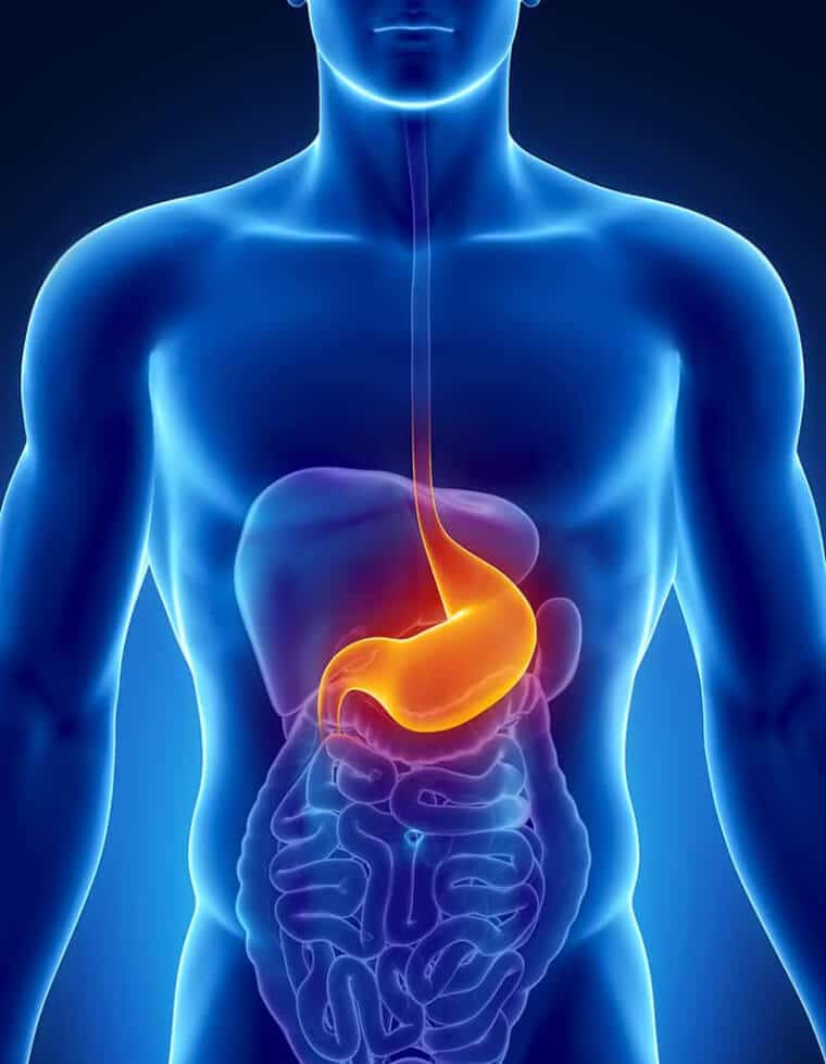 Gastric Problem Solution